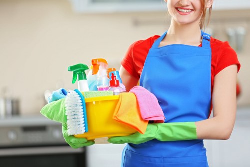 Detailed deep cleaning of a bright living space