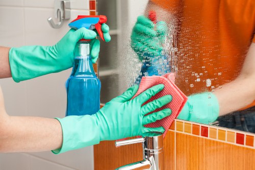 Kitchen and bathroom cleaning tasks in a home