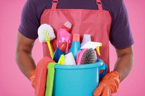 Professional deep cleaning supplies and checklist