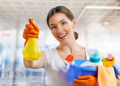 Professional carpet cleaning in a bright living room