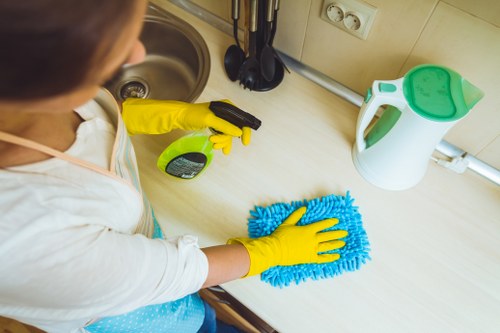Cleaning supplies organized for household cleaning