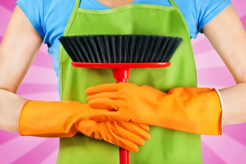 Regular cleaning of a bright home interior