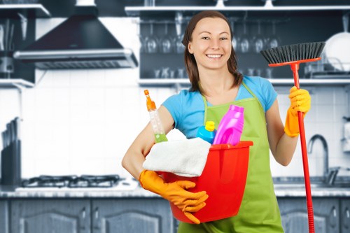 Weekly domestic cleaning routine checklist for the home
