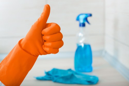 Regular cleaning supplies arranged for a routine