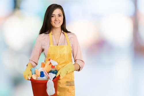 Professional mattress cleaning process on a home bed