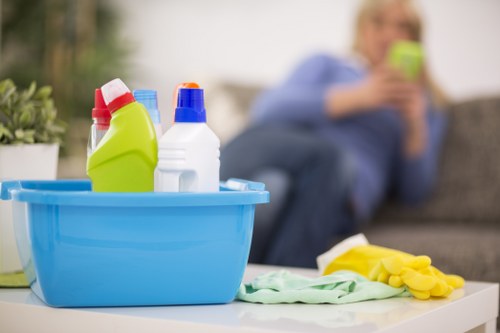 Specialized cleaning for different sofa materials